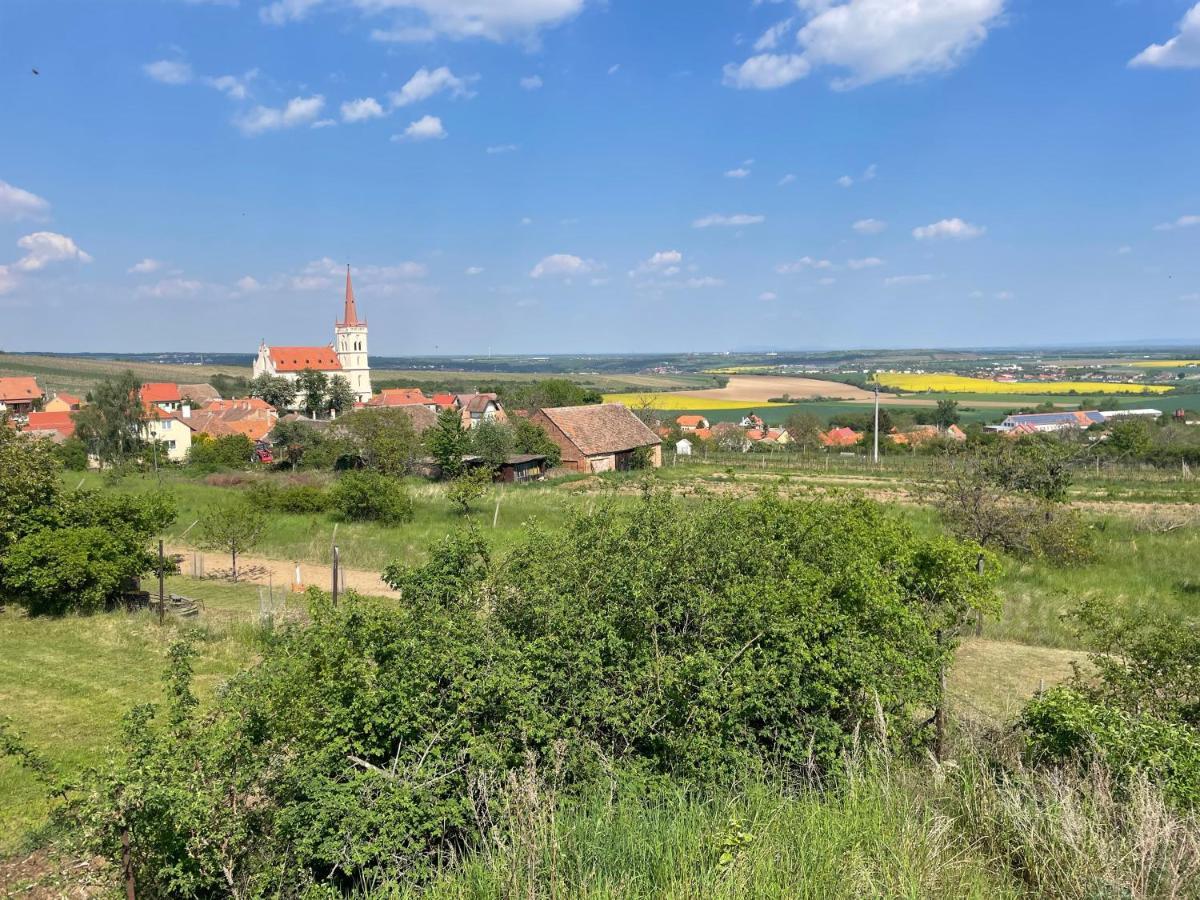 Apartman U Brezinu Znojmo Zewnętrze zdjęcie